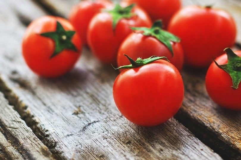 tomatoes_Lernestorod, Pixabay