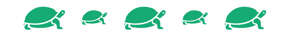 divider-turtle