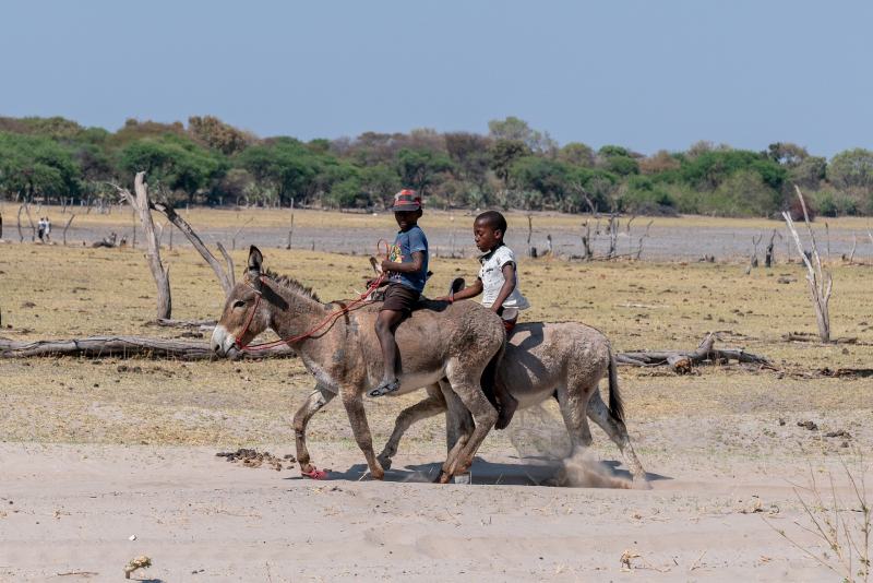 two boys riding a donkey
